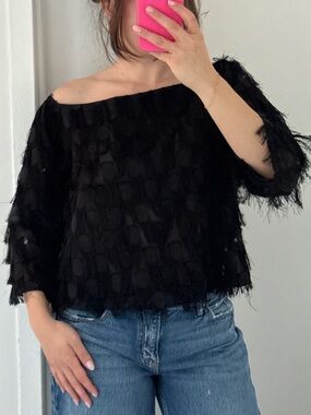 Zara Black Off-Shoulder Feathered Blouse
